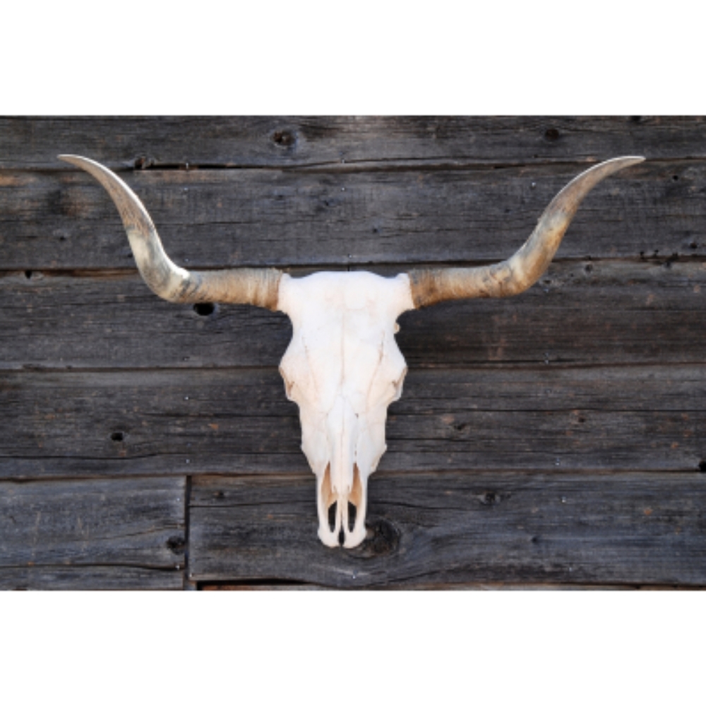 Meet your Posher Lena